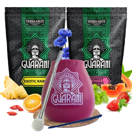 Mate Tee Guarani Frucht Kalebasse Set 2x500g