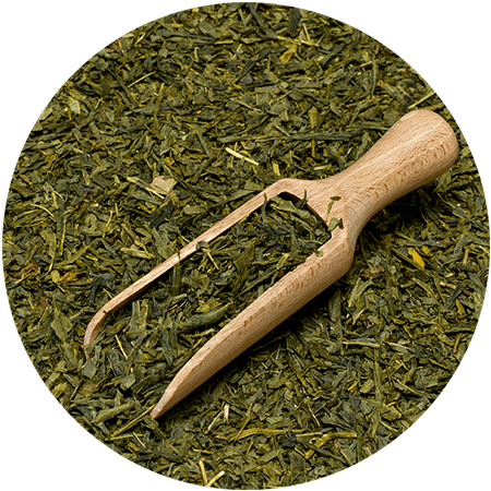 Mary Rose - Grüner Tee Sencha in Dose - 50 g