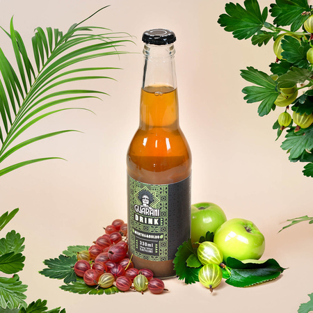 Fruit Drink Guarani – Fruchtgetränk mit Mate Tee– Mentha & Boldo 330 ml