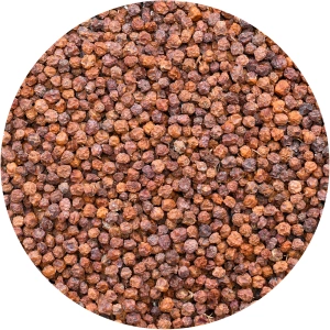 Vivarini - Eberesche - Frucht 1 kg