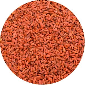 Vivarini - Getrocknete Goji-Beeren  250 g